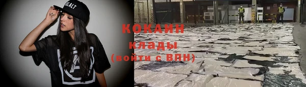 крисы Кинешма
