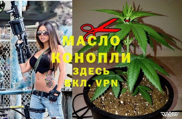 крисы Кинешма