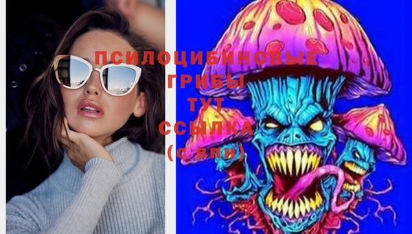 крисы Кинешма